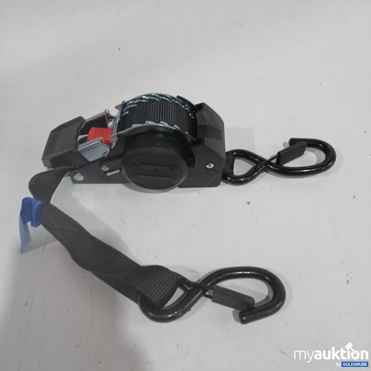 Artikel Nr. 524000: Zurrgurt 