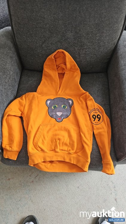 Artikel Nr. 394001 Artikel Nr. 394001: Graz99ers Pullover "Pucky"