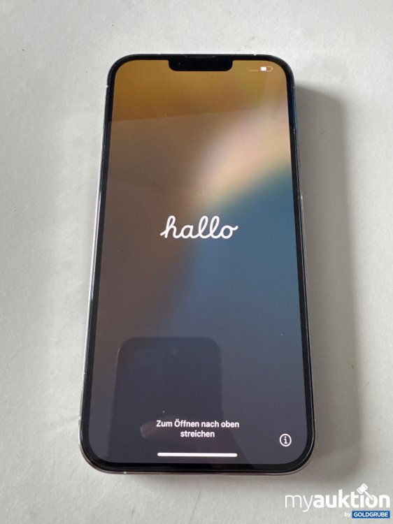 Artikel Nr. 908001: Apple iPhone 13 Pro Max 