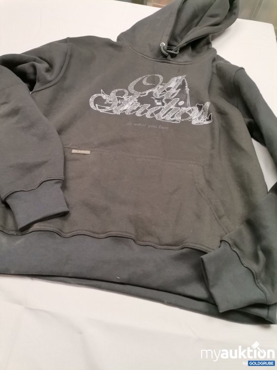 Artikel Nr. 743002 Artikel Nr. 743002: Otl Studios Hoodie