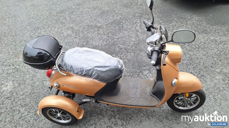 Artikel Nr. 925002: 3-Rad Elektromobil 