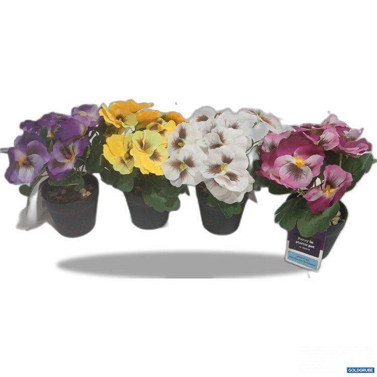 Artikel Nr. 929006: Pansy in Plastic Pot ca. 21cm H 4Stk
