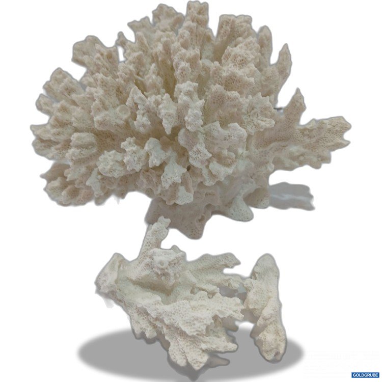 Artikel Nr. 996006 Artikel Nr. 996006: Westwing Deko Coral