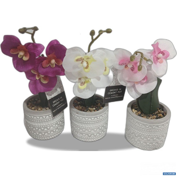 Artikel Nr. 929007: Orchid in Cement Pot ca. 28cm H 3 Stk 