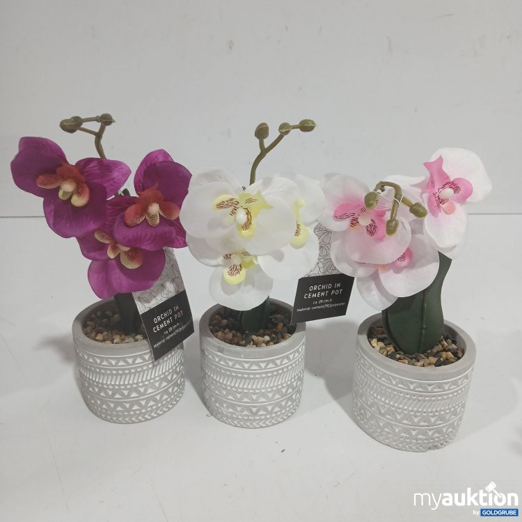 Artikel Nr. 929007: Orchid in Cement Pot ca. 28cm H 3 Stk 