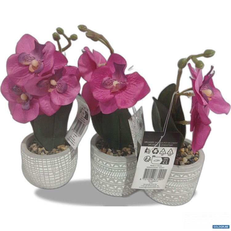 Artikel Nr. 929008: Orchid in Cement Pot ca. 28cm H 3 Stk 