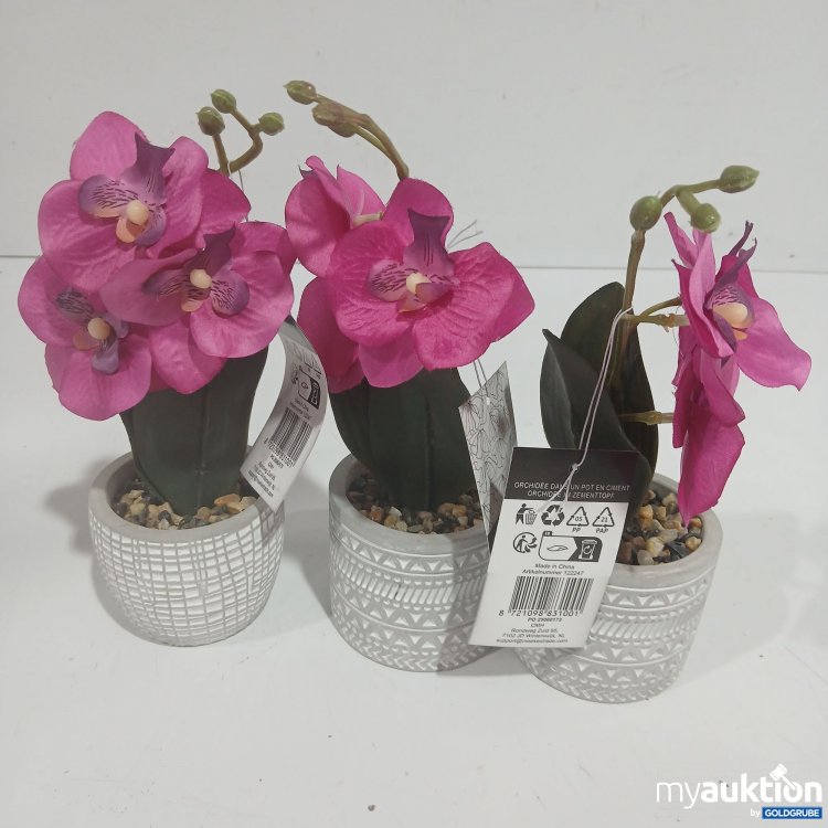 Artikel Nr. 929008: Orchid in Cement Pot ca. 28cm H 3 Stk 