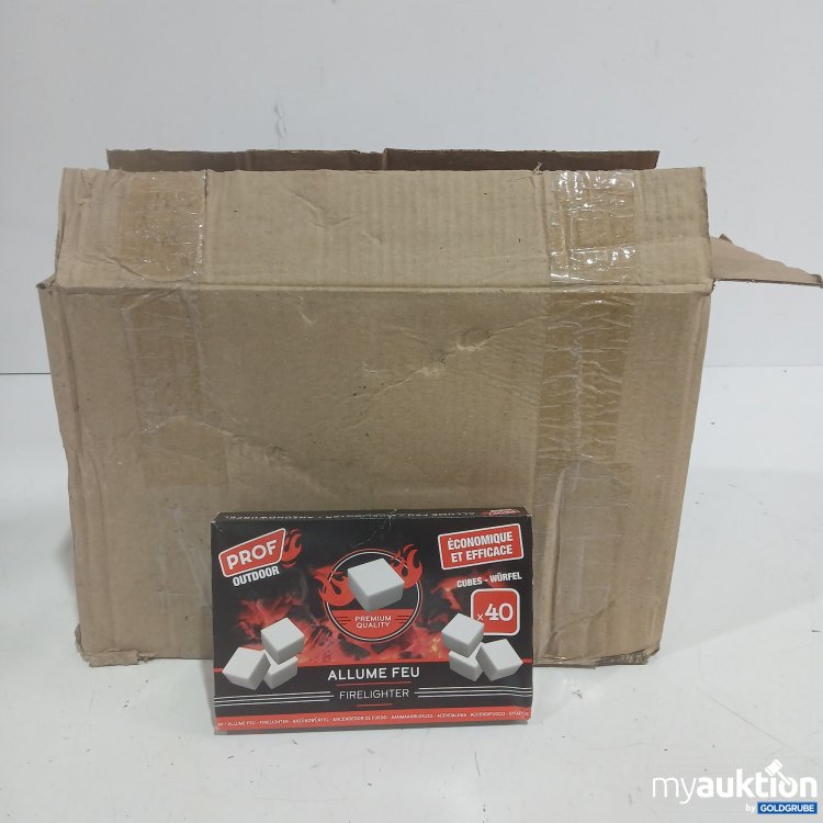 Artikel Nr. 940008 Artikel Nr. 940008: Prof Outdoor Firelighter 24x 40Stk