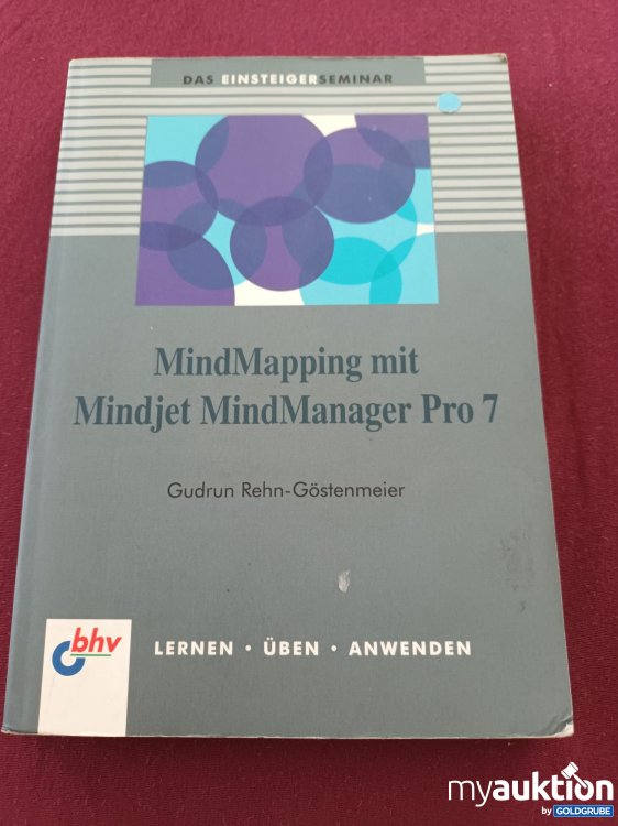 Artikel Nr. 999011 Artikel Nr. 999011: MindMapping mit Mindjet MindManager Pro 7