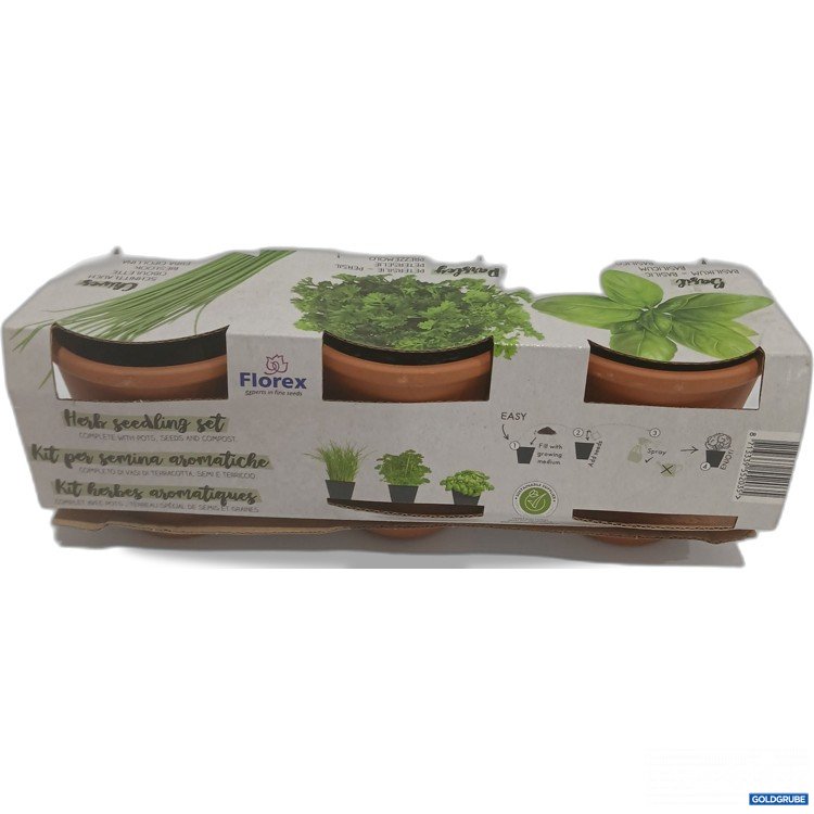 Artikel Nr. 883015: Florex Herb seedling set 