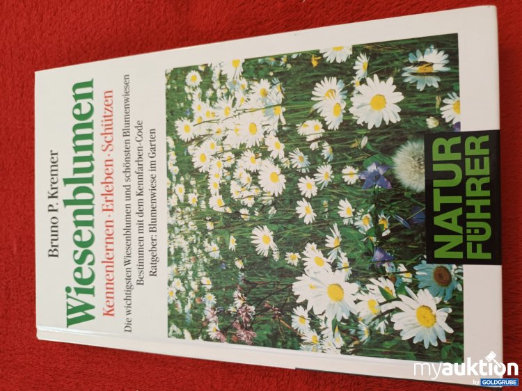 Artikel Nr. 928017 Artikel Nr. 928017: Wiesenblumen