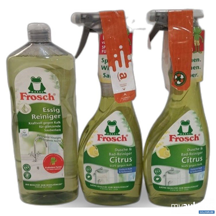 Artikel Nr. 464019: Frosch diverse Reinigungsprodukte