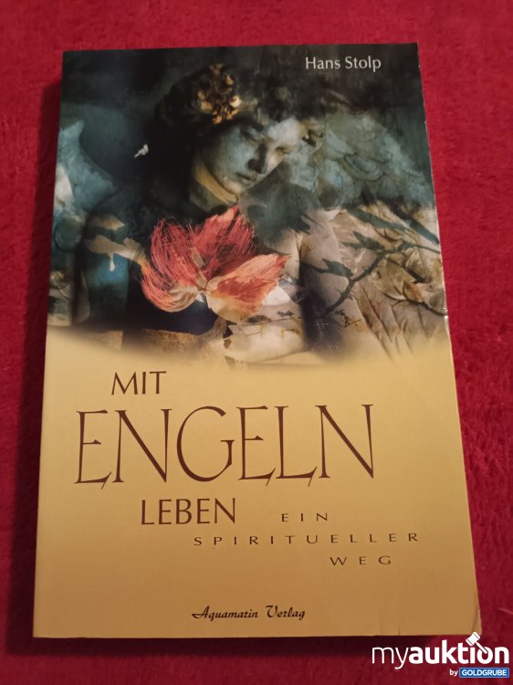 Artikel Nr. 923020: Mit Engel leben