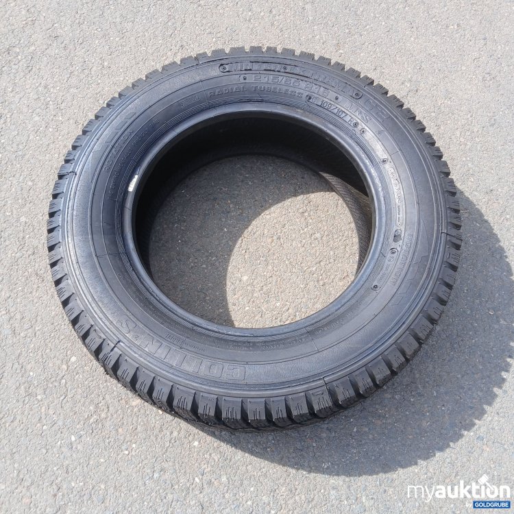 Artikel Nr. 438021: Collin's Winter Extrema 215/65R16 