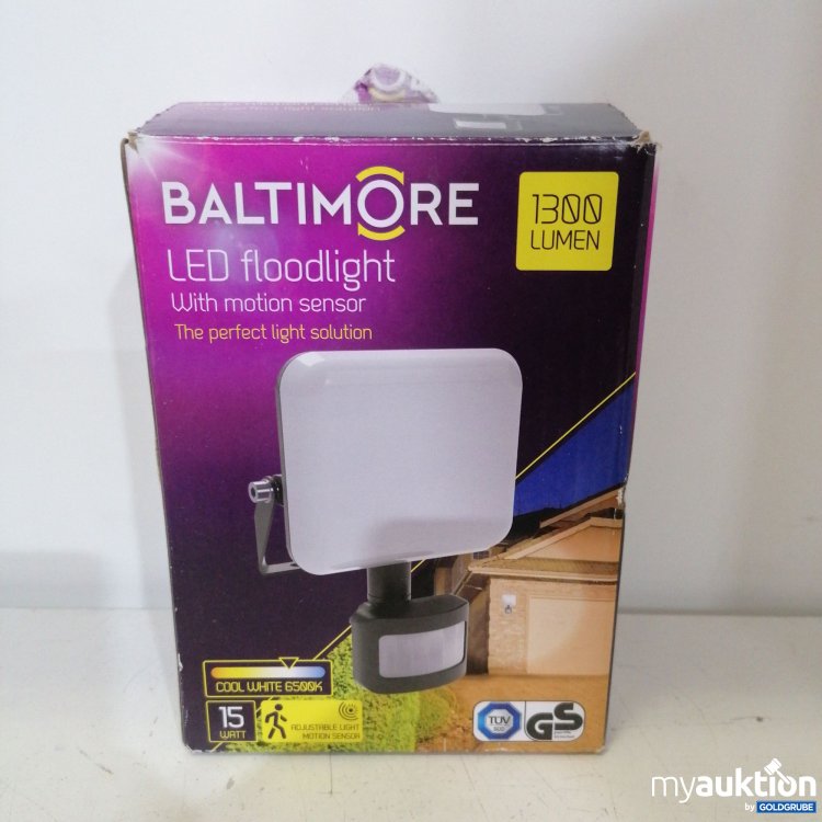 Artikel Nr. 424026: Baltimore LED floodlight 