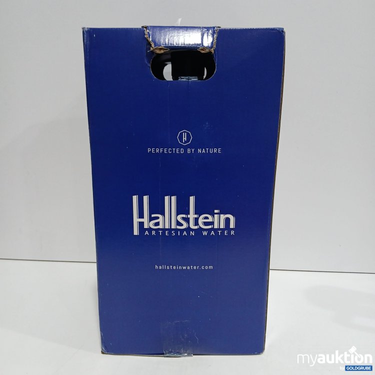 Artikel Nr. 897026: Hallstein Water 19l