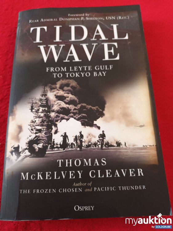 Artikel Nr. 907026: Tidal Wave