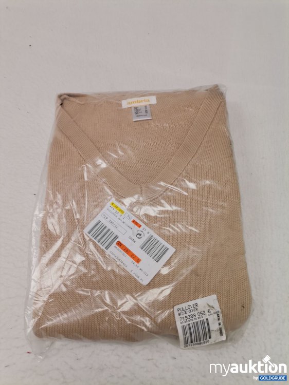 Artikel Nr. 676027 Artikel Nr. 676027: Ambria Pullover