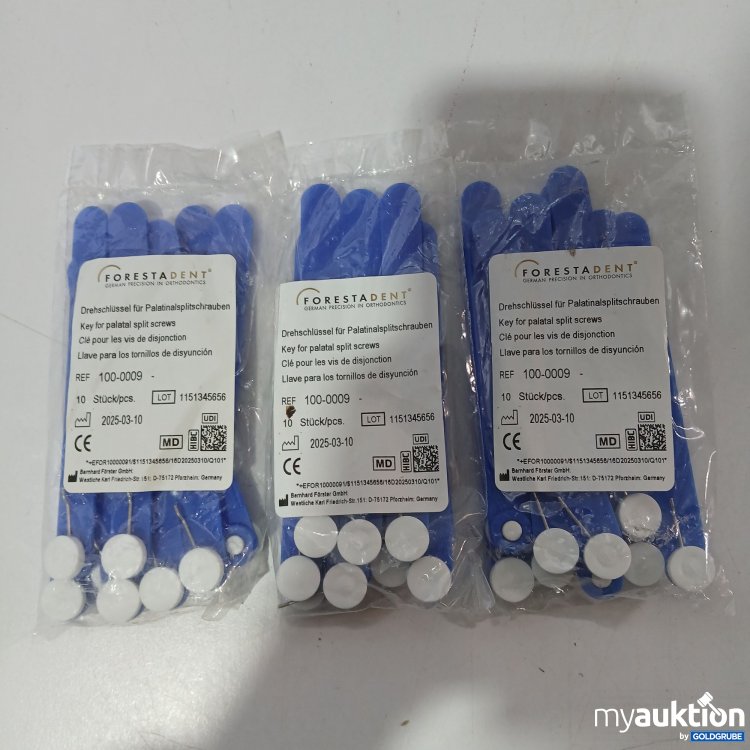 Artikel Nr. 952030: Forestadent Drehschlüssel für Palatinalsplitschrauben 30Stk