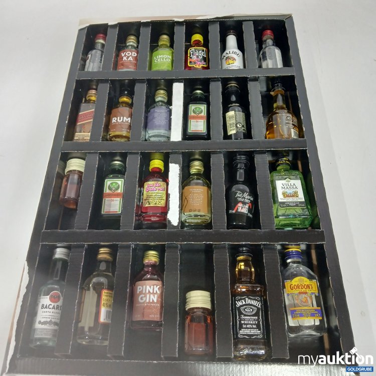 Artikel Nr. 816031: Diverse Mini Alkohol Getränke ca.5cl 24 Stk