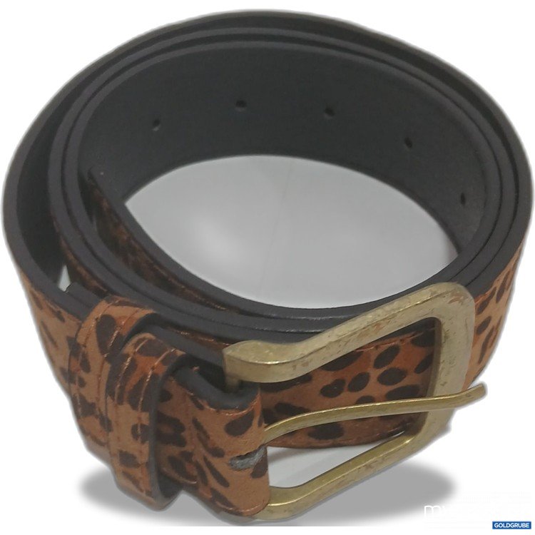 Artikel Nr. 883031: Damen Gürtel 