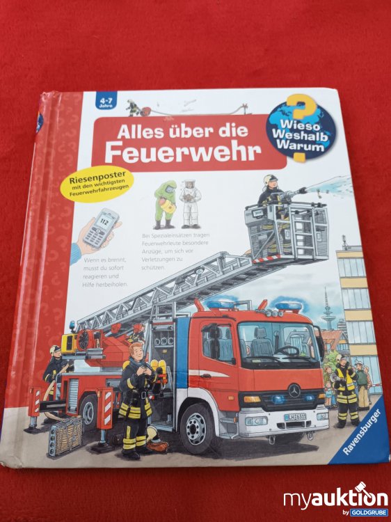 Artikel Nr. 923032: Großes Wieso, Weshalb, Warum Buch