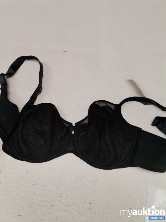 Artikel Nr. 687034 Artikel Nr. 687034: Rosa Faia Selma BH