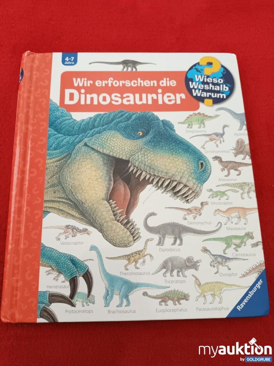 Artikel Nr. 923034: Großes Wieso, Weshalb, Warum Buch