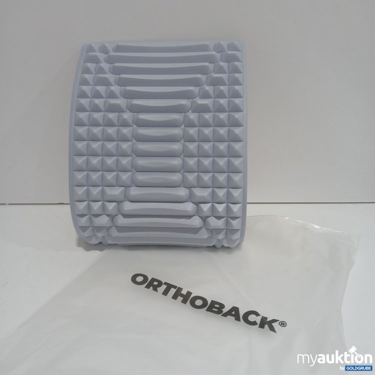 Artikel Nr. 883038: Orthoback Rückenstrecker