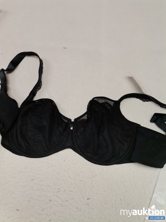 Artikel Nr. 687039 Artikel Nr. 687039: Rosa Faia Selma BH