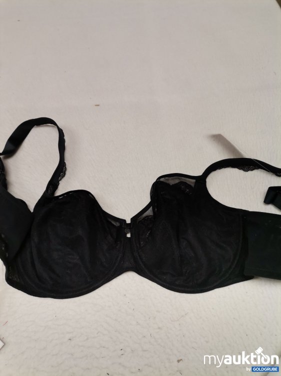 Artikel Nr. 687040 Artikel Nr. 687040: Rosa Faia Selma BH