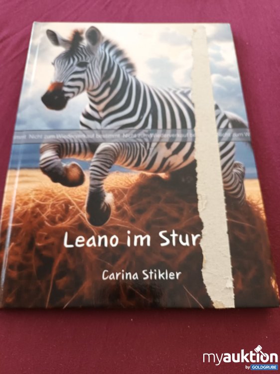 Artikel Nr. 999041 Artikel Nr. 999041: Leano im Sturm