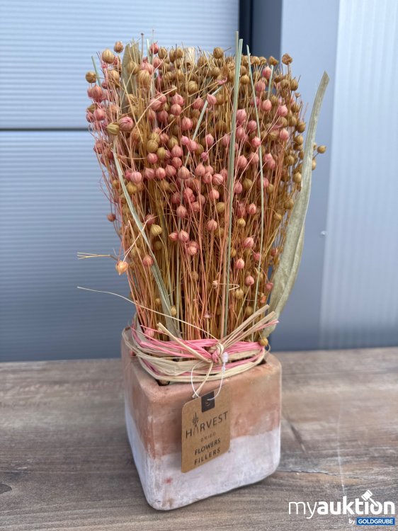 Artikel Nr. 935042: Deko Trockenblumen in Tontopf