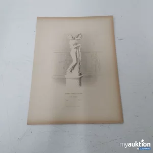 Auktion Bild ca. 30x20cm Venus Kallipygos