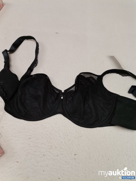 Artikel Nr. 687043 Artikel Nr. 687043: Rosa Faia Selma BH