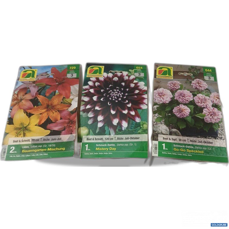 Artikel Nr. 525044: Diverse Blumenzwiebel 3Stk