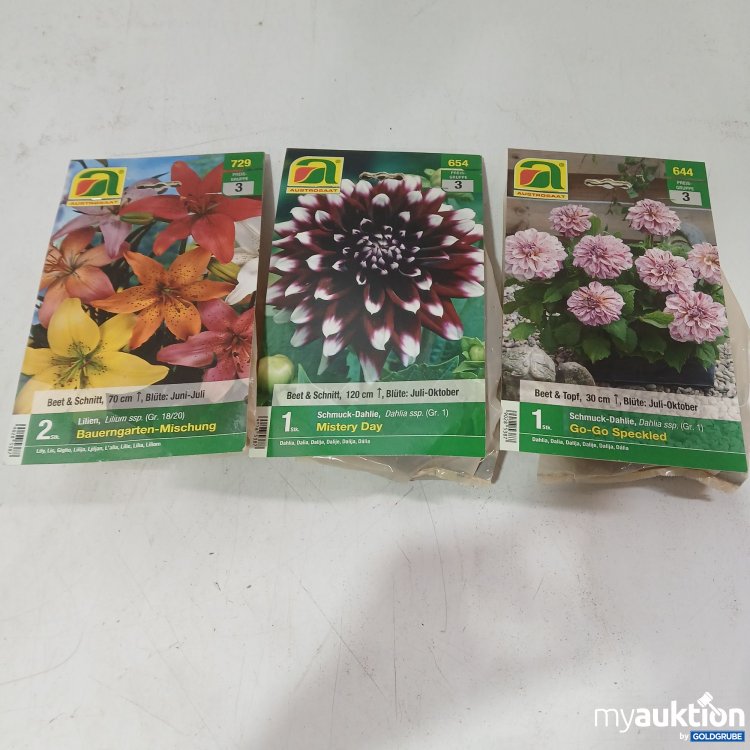 Artikel Nr. 525044: Diverse Blumenzwiebel 3Stk