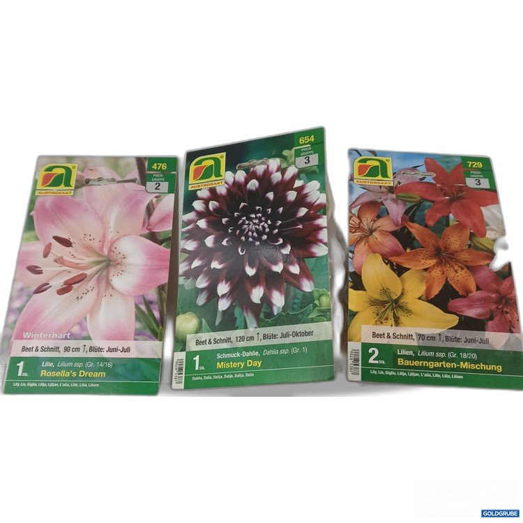 Artikel Nr. 525045: Diverse Blumenzwiebel 3Stk