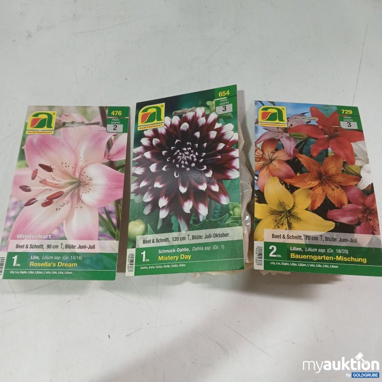 Artikel Nr. 525045: Diverse Blumenzwiebel 3Stk