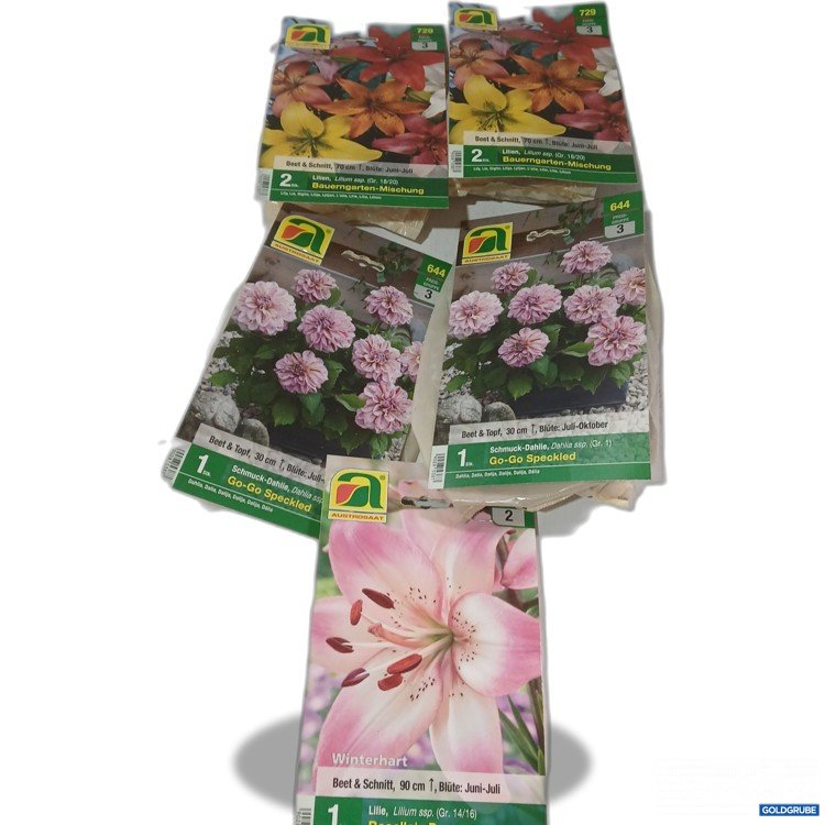 Artikel Nr. 525046: Diverse Blumenzwiebel 5Stk