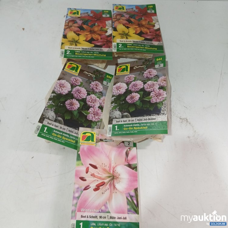 Artikel Nr. 525046: Diverse Blumenzwiebel 5Stk