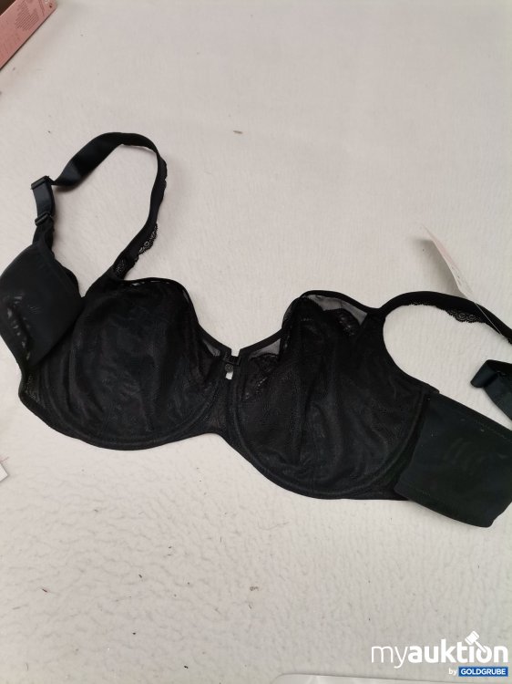 Artikel Nr. 687046 Artikel Nr. 687046: Rosa Faia Selma BH