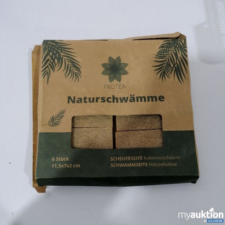 Artikel Nr. 879048: Protea Naturschwämme 6Stk