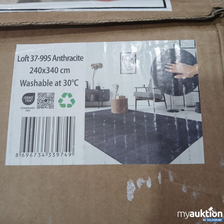 Artikel Nr. 876050 Artikel Nr. 876050: Loft 37-995 Anthracite 240x340cm