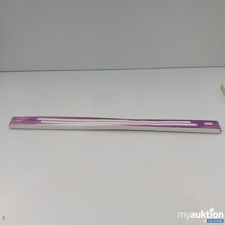 Artikel Nr. 911050 Artikel Nr. 911050: Intelligent Light 60cm