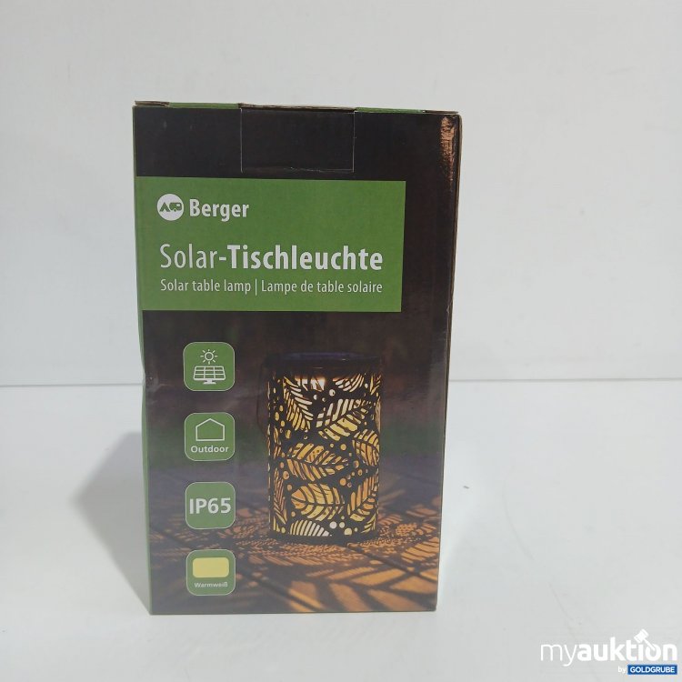 Artikel Nr. 865051: Berger Solar Tischleuchte IP65 