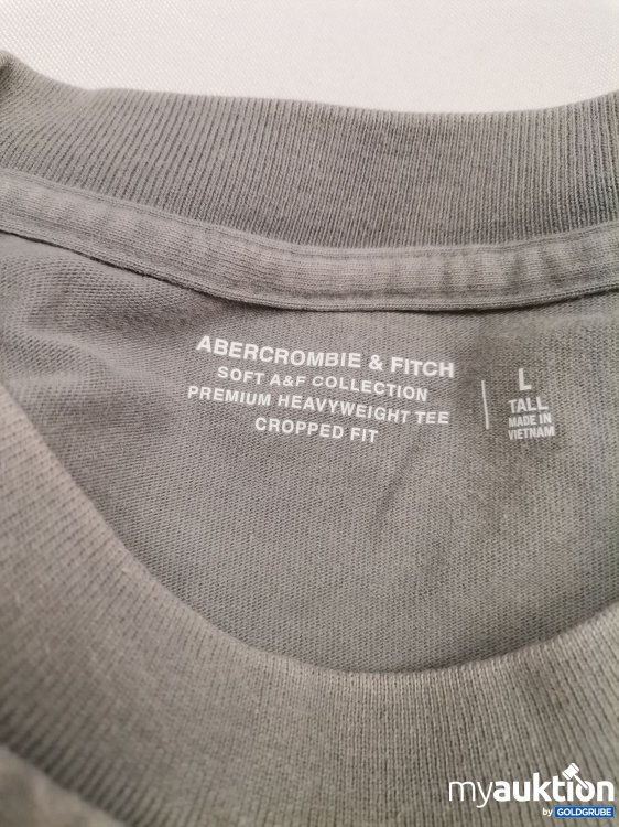 Artikel Nr. 837053: Abercrombie and Fitch Shirt tall
