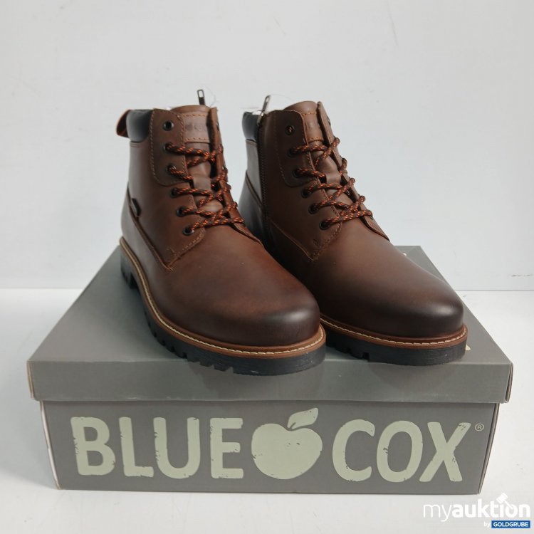 Artikel Nr. 442055: Blue Cox Stiefeletten 