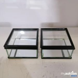 Auktion Glass Box 