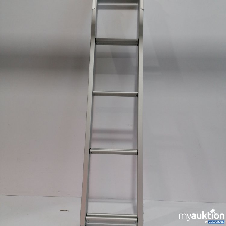 Artikel Nr. 886059: Diverse Leiter mit Schutzhülle